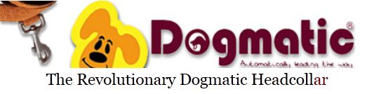 Dogmatic head collar