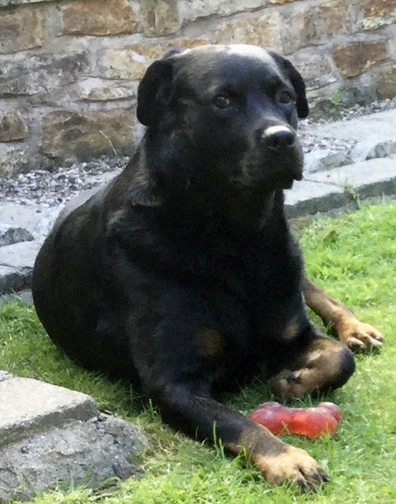 Bella