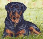 rottweilersinneed.co.uk logo designed and copyrighted by Hils Illustration