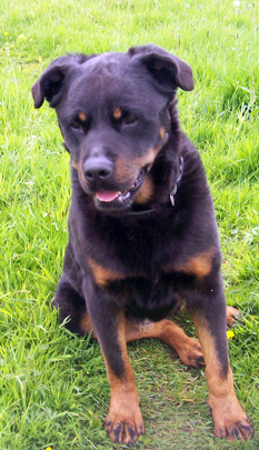 Mishka