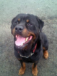 Rosko