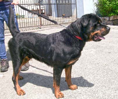 Bryn