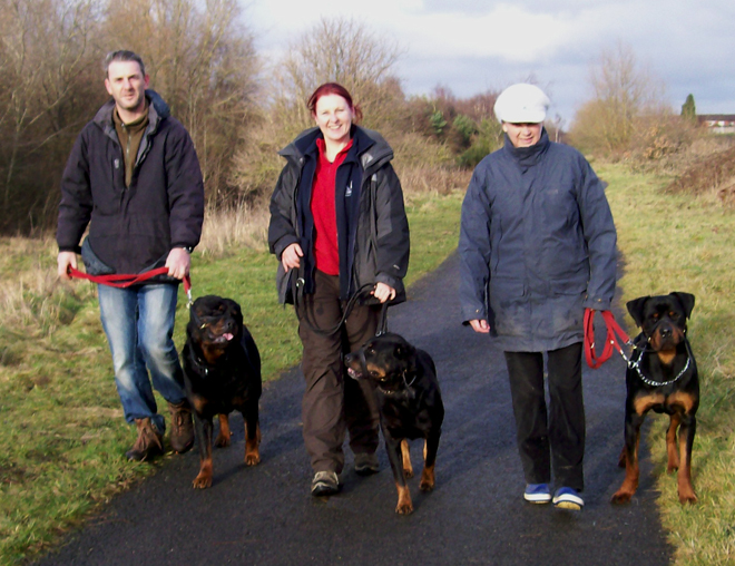 Rottweilers in need - Adpotions